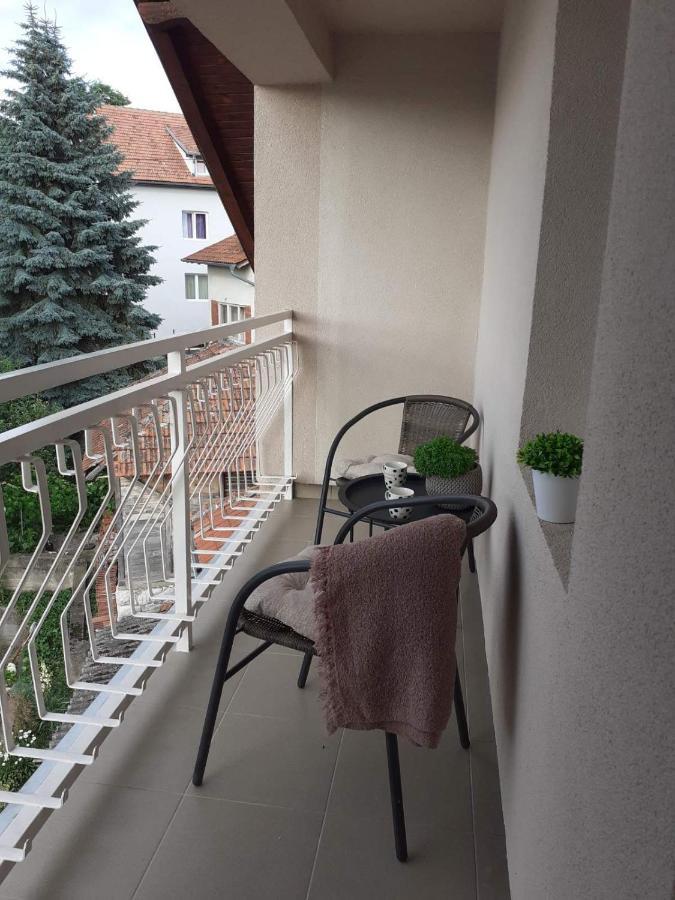M Apartments Sokobanja Zewnętrze zdjęcie