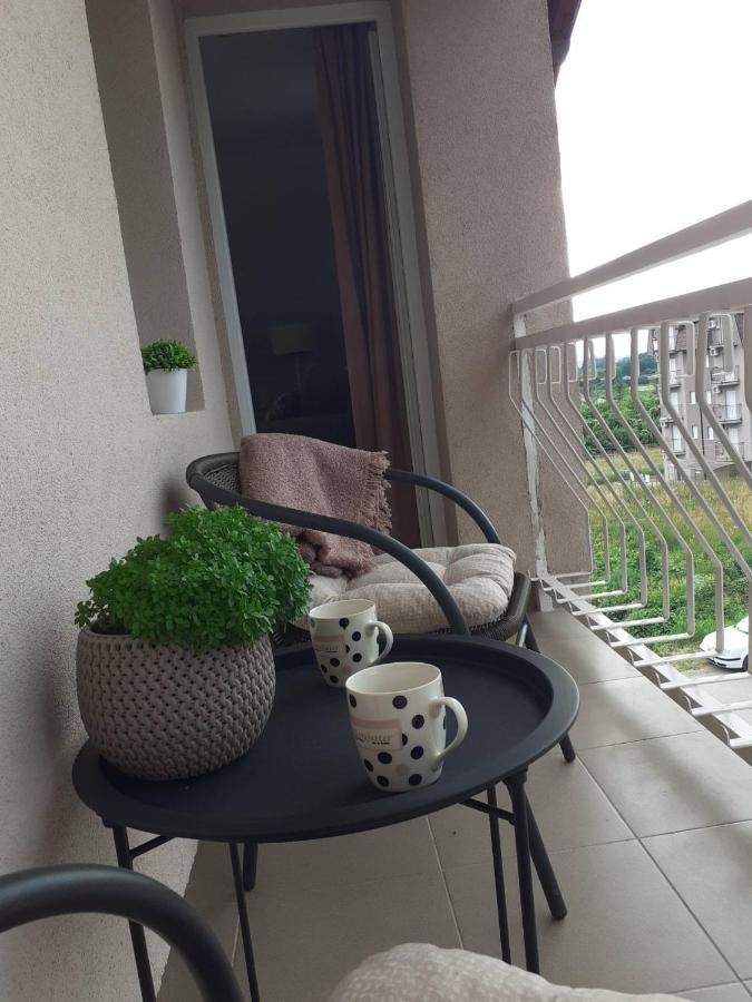 M Apartments Sokobanja Zewnętrze zdjęcie