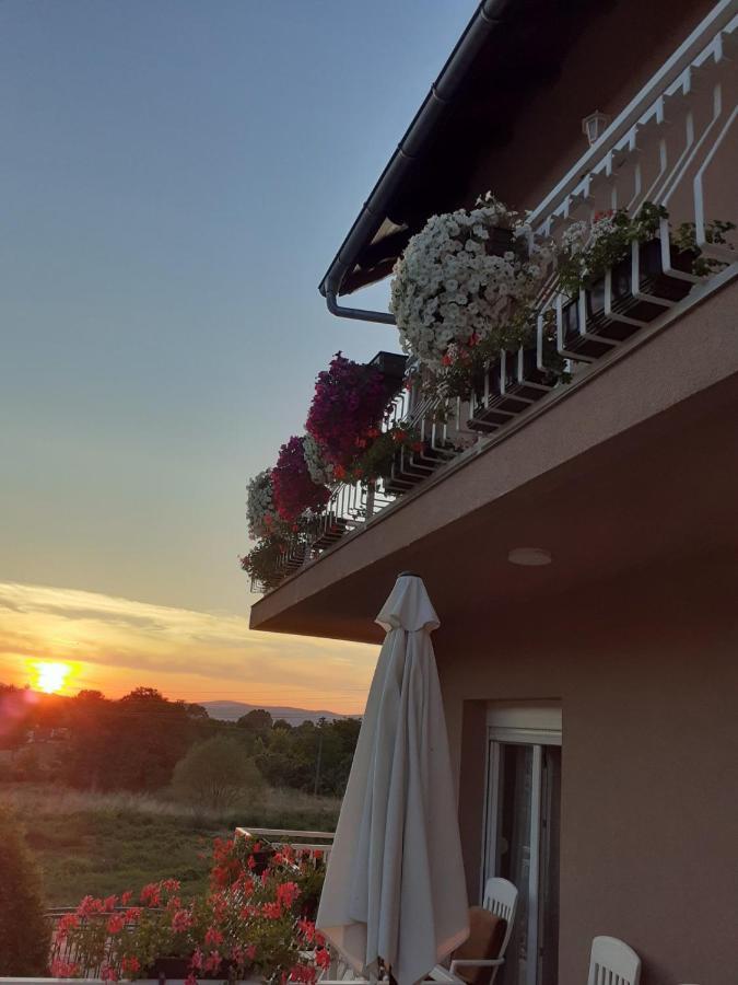 M Apartments Sokobanja Zewnętrze zdjęcie