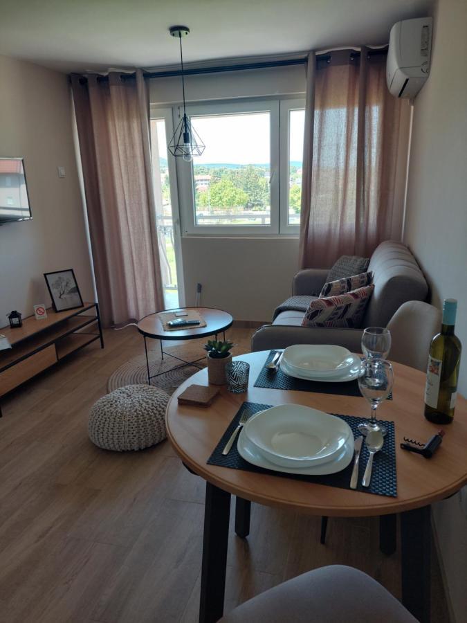 M Apartments Sokobanja Zewnętrze zdjęcie