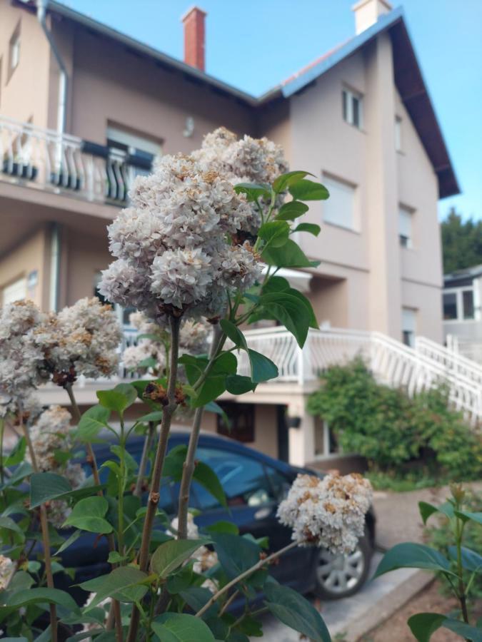 M Apartments Sokobanja Zewnętrze zdjęcie